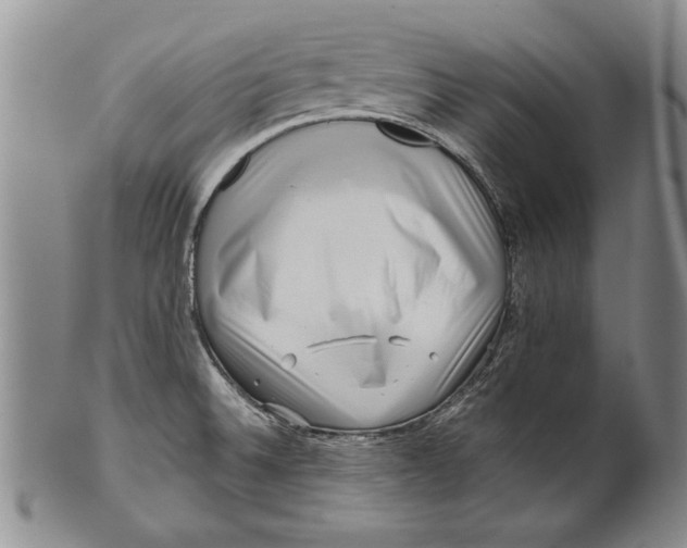 X0000100751524200807101651