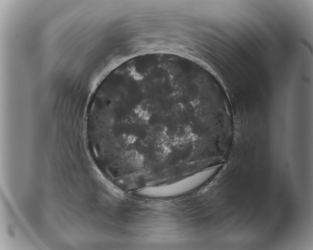 X0000100751525200807101651