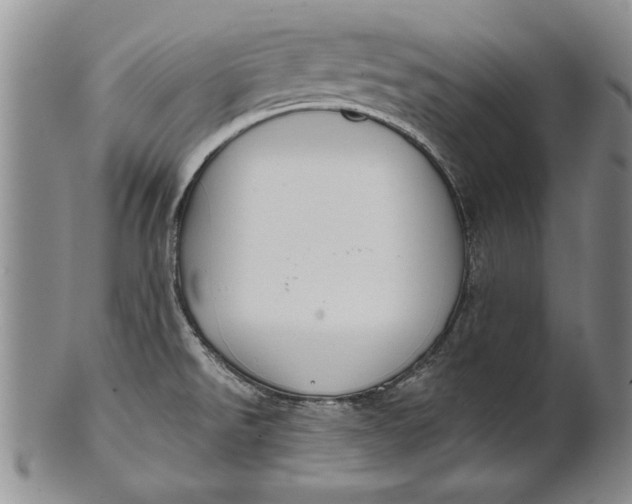 X0000100751526200807101651