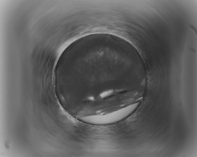 X0000100751527200807101651