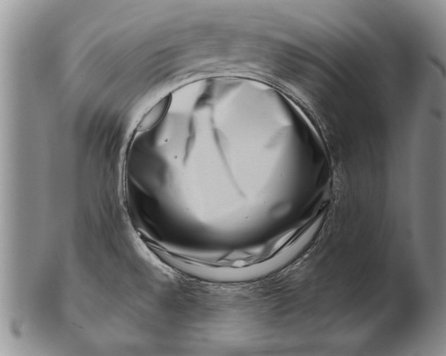 X0000100751528200807101651