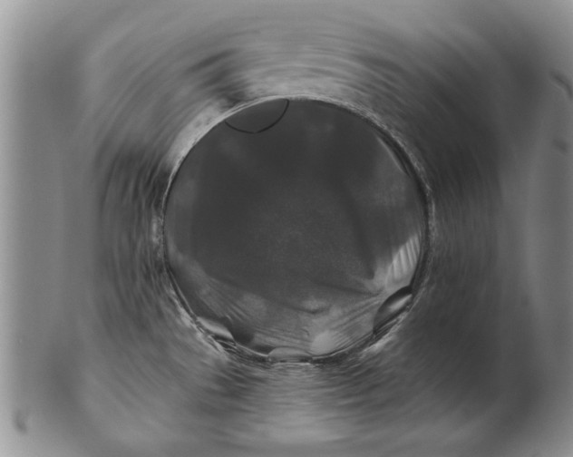 X0000100751529200807101651