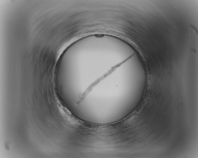 X0000100751530200807101651