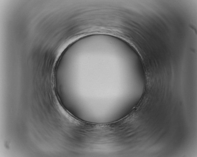 X0000100751531200807101651