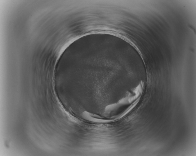 X0000100751533200807101651