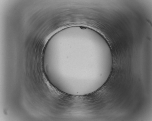 X0000100751534200807101651