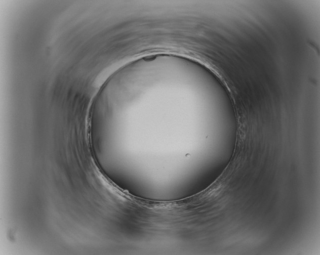 X0000100751535200807101651