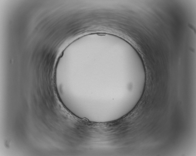 X0000100751536200807101651