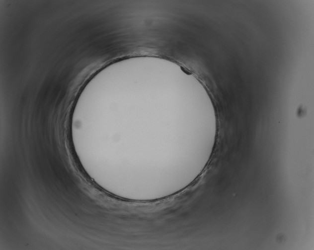 X0000100750001200807171423