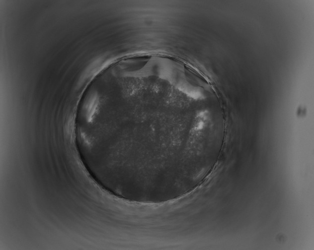 X0000100750002200807171423