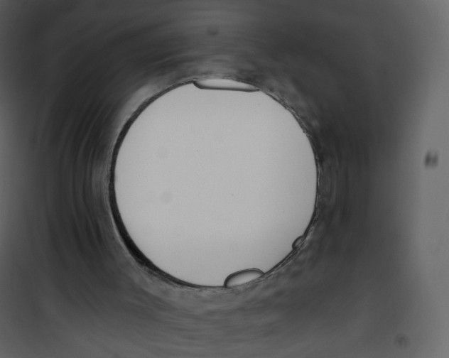 X0000100750003200807171423