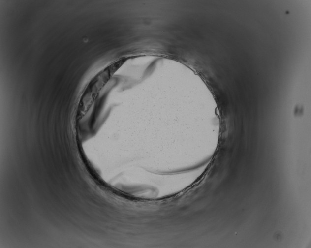 X0000100750004200807171423