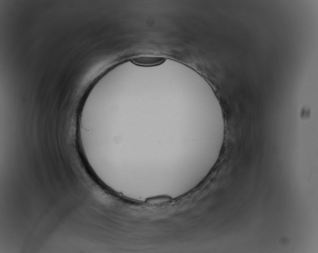 X0000100750005200807171423