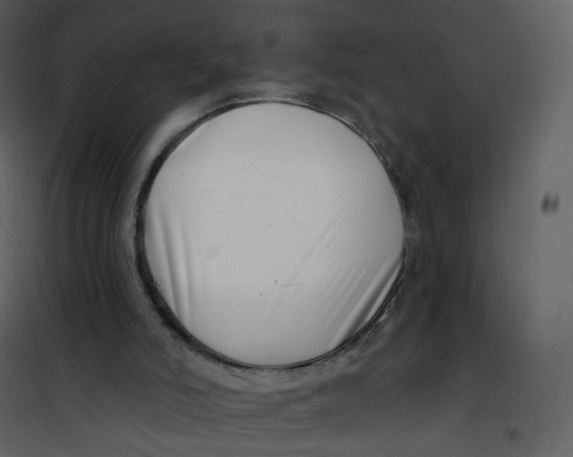 X0000100750006200807171423