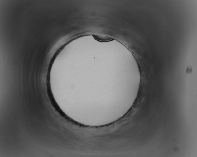 X0000100750007200807171423