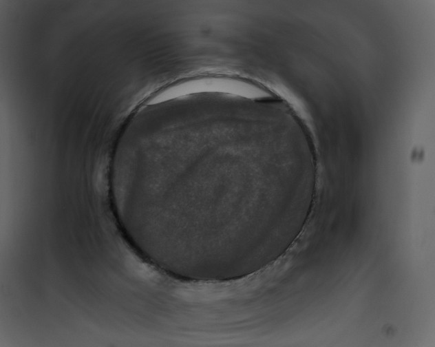 X0000100750009200807171423