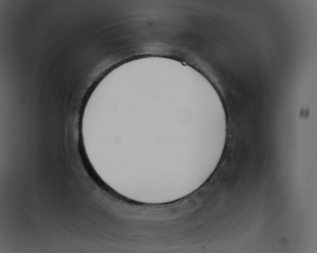 X0000100750011200807171423