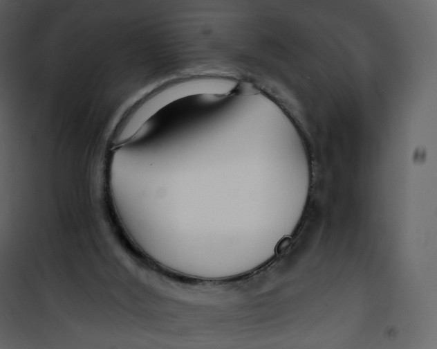 X0000100750012200807171423