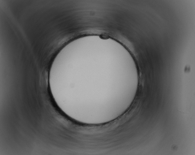 X0000100750013200807171423