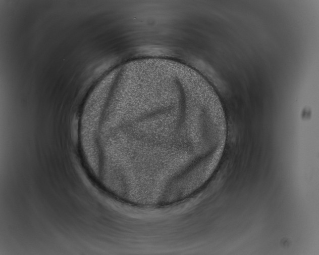 X0000100750014200807171423