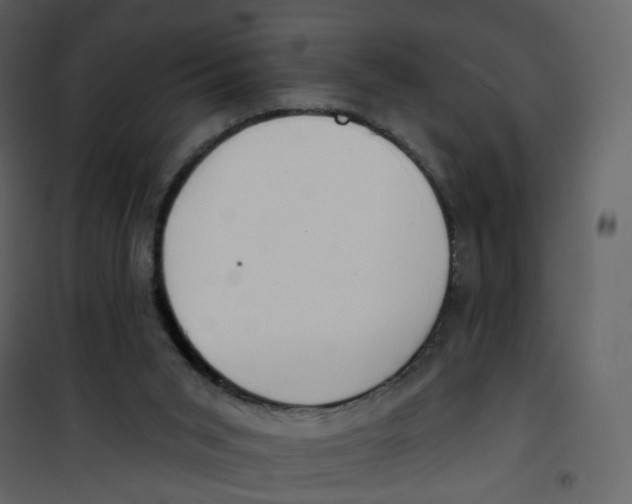 X0000100750015200807171422