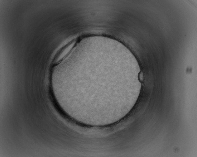 X0000100750016200807171422
