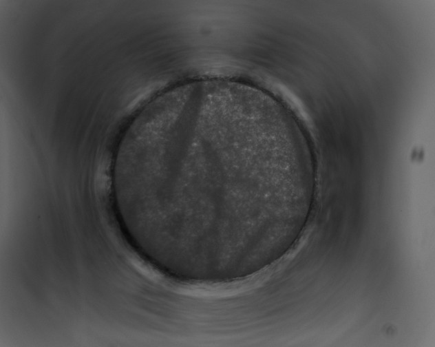 X0000100750017200807171422