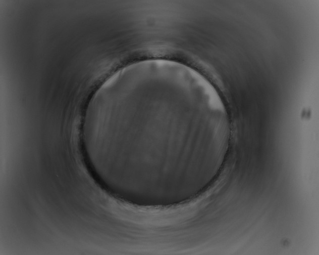 X0000100750018200807171422