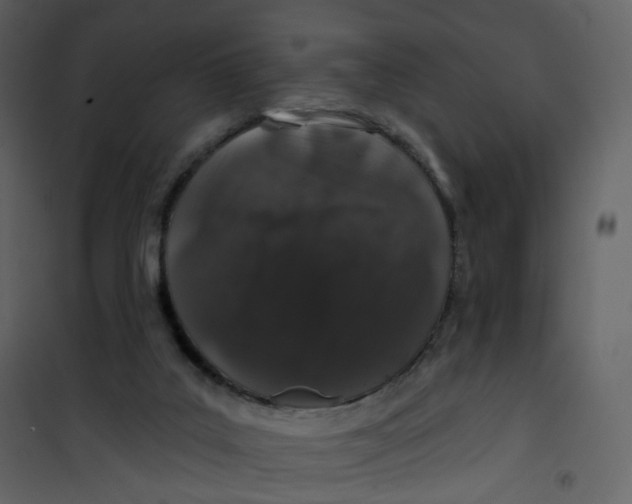 X0000100750019200807171422