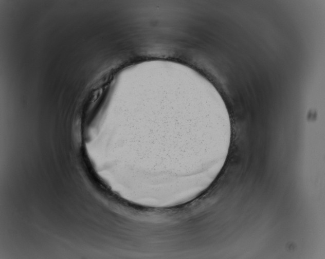 X0000100750020200807171422