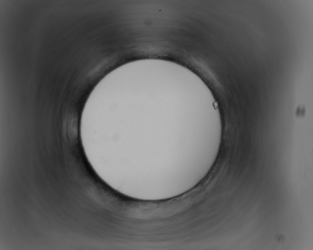 X0000100750021200807171422