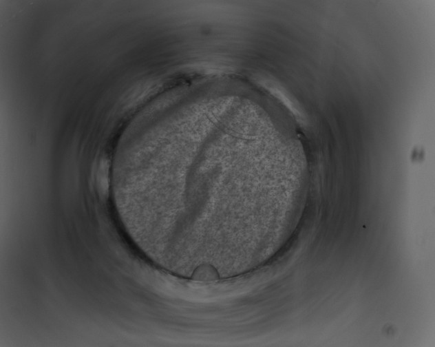 X0000100750022200807171422
