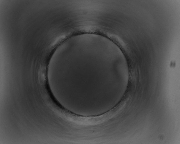 X0000100750023200807171422