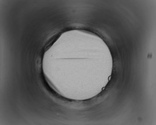 X0000100750024200807171422
