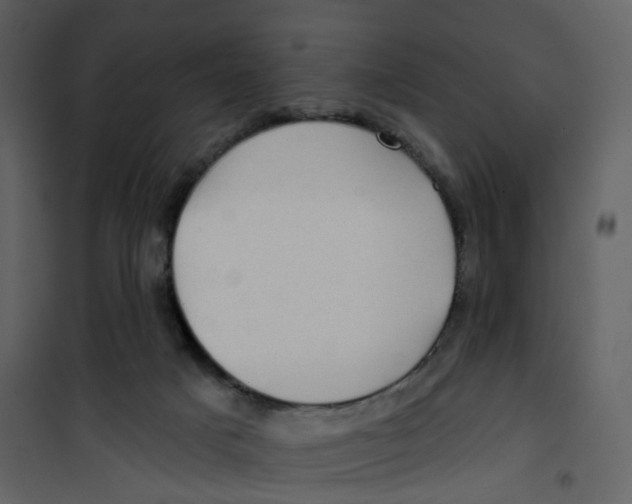 X0000100750025200807171422