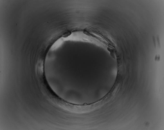 X0000100750027200807171422