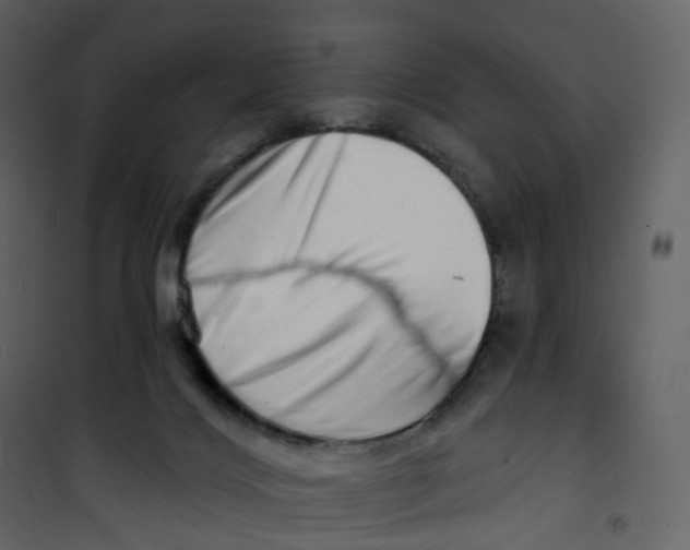 X0000100750028200807171422