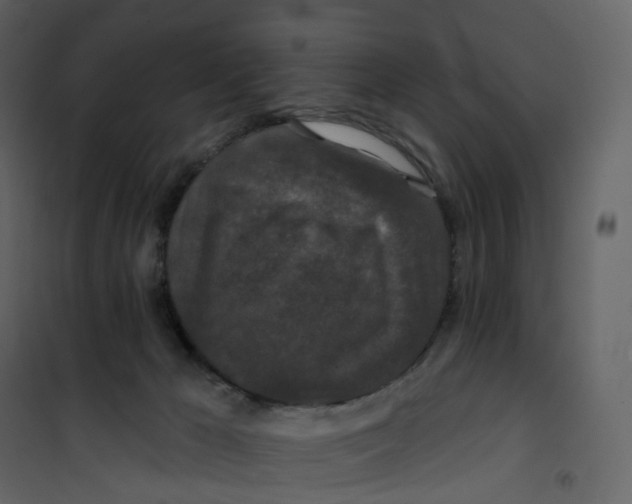 X0000100750029200807171422