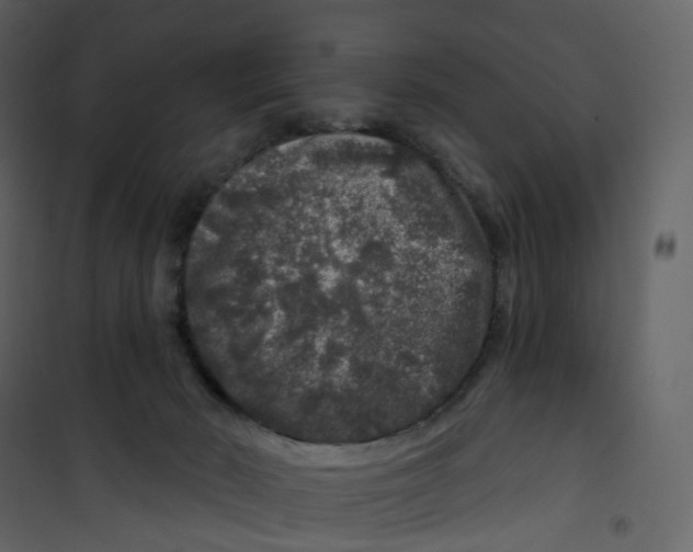 X0000100750030200807171422