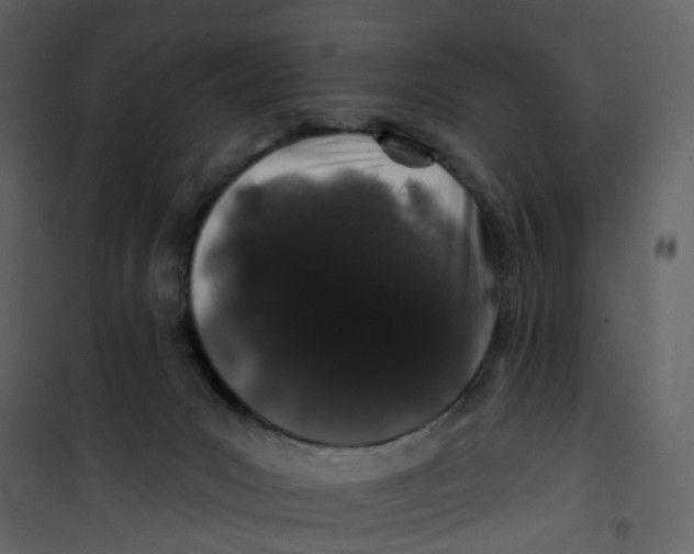 X0000100750031200807171422