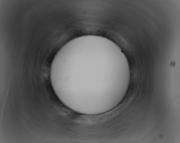 X0000100750033200807171422
