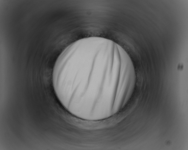 X0000100750034200807171422