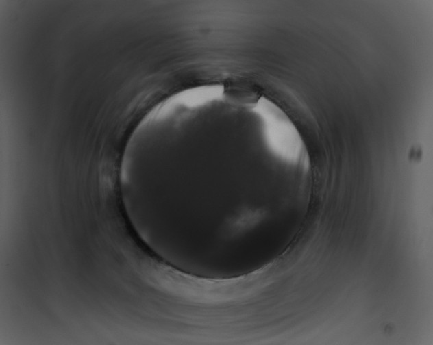 X0000100750035200807171422