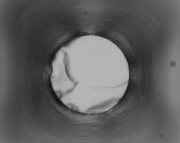X0000100750036200807171422