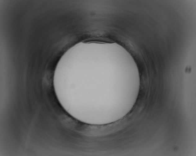 X0000100750037200807171422