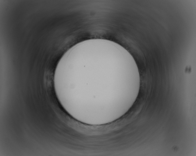 X0000100750038200807171422