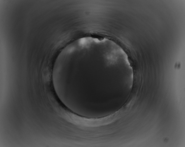 X0000100750039200807171422