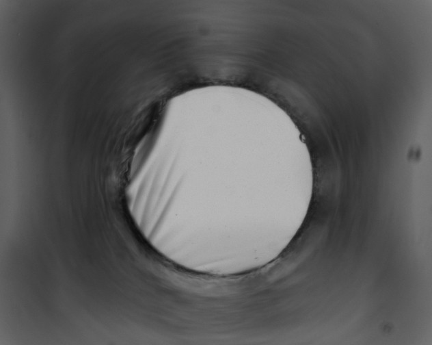 X0000100750040200807171422