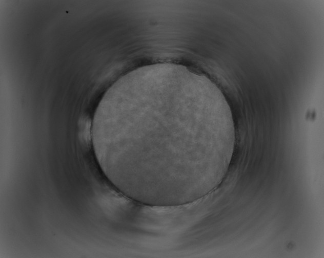 X0000100750041200807171422