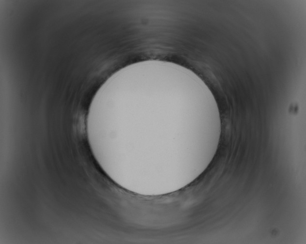 X0000100750042200807171422